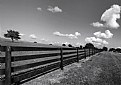Picture Title - Horse Fence