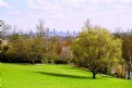 Picture Title - London Skyline from Waterlow Park