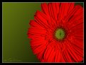 Picture Title - Red/Green