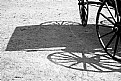 Picture Title - Buggy Shadow