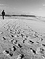 Picture Title - walking on the white beach