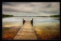 Picture Title - The jetty