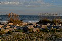 Picture Title - Kure Beach