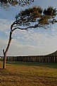 Picture Title - Fort Fisher