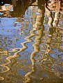 Picture Title - Reflections in a Stream