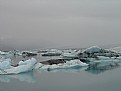 Picture Title - Floating blue icebergs