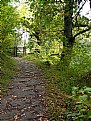 Picture Title - Fall Path