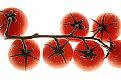 Picture Title - Tomatoes