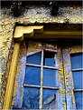 Picture Title - window