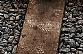 Picture Title - foot print