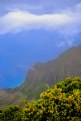 Picture Title - The top of Waimea Canyon