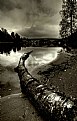 Picture Title - Down by the river