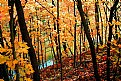 Picture Title - Autumn 