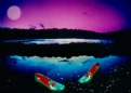 Picture Title - DL 13