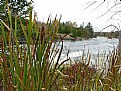 Picture Title - Bonnechere River