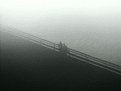 Picture Title - on the bridge