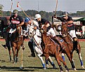 Picture Title - Alabama Polo 2