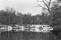 Picture Title - Assiniboine river first snow