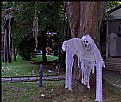 Picture Title - Halloween 4