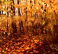 Picture Title - Autumn Pond 