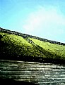 Picture Title - shed and sky