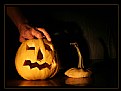 Picture Title - halloween