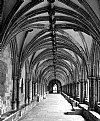 Picture Title - Cloister of Norwich Cathedral