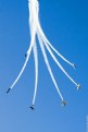 Picture Title - Air Show