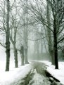 Picture Title - Winter Road