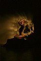 Picture Title - D. Art 197
