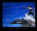 Picture Title - Surfing