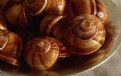 Picture Title - escargot