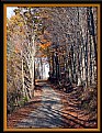 Picture Title - Natural Tunnel