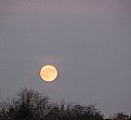 Picture Title - tonight's moon