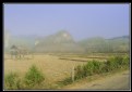 Picture Title - Landscape & Fog