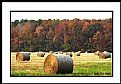 Picture Title - Hay Stack 