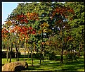 Picture Title - autumnal colors