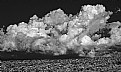 Picture Title - Cloud