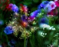 Picture Title - Floral Fireworks