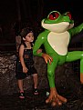 Picture Title - Frog Prince In Training