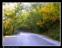 Picture Title - Autumn Highway