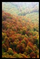 Picture Title - autumn_03