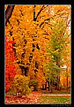 Picture Title - Fall Colors