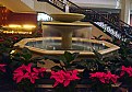 Picture Title - Fountain & Flowers