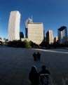 Picture Title - Reflected in The Bean