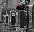 Picture Title - Graveyard: Part 1