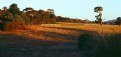 Picture Title - Heathcote - Late Afternoon