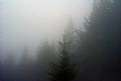 Picture Title - Mountain Fog
