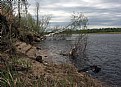 Picture Title - coast north river