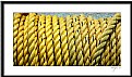 Picture Title - The Rope